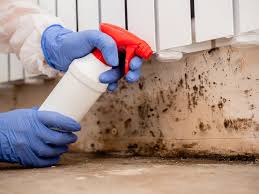 Mold Documentation for Insurance Claims in East Alton, IL